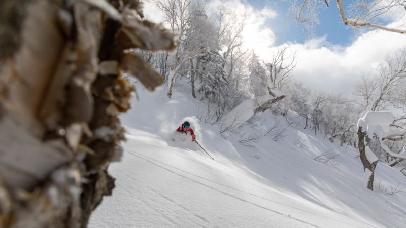 Un freerider complètement englouti par la fameuse "Japow", la poudreuse japonaise réputée comme la plus légère au monde.