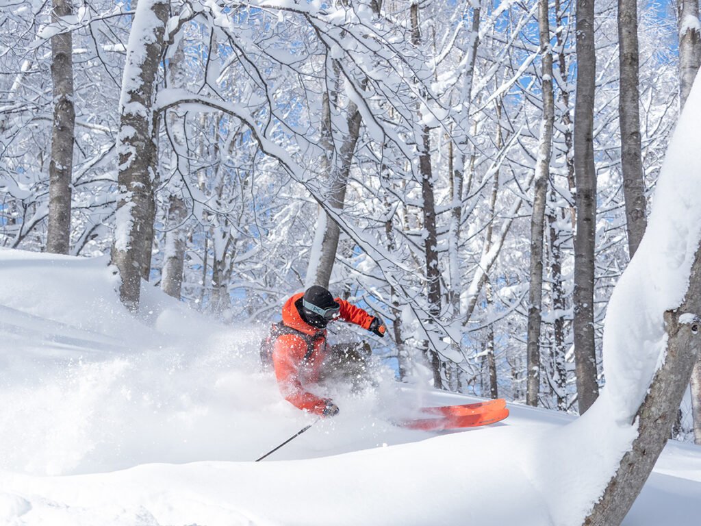 Piste de ski bordée d'arbres majestueux, illustrant comment la forêt protège la neige du vent et du soleil.