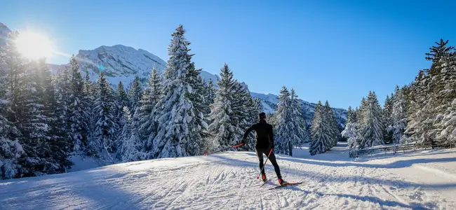 Piste de ski de fond classique tracée au cœur d'une épaisse forêt de sapins enneigés sur le haut plateau du massif du Vercors.