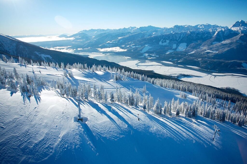 Un freerider complètement submergé par une neige d'une légèreté absolue, slalomannt avec précision entre les conifères d'une forêt canadienne.