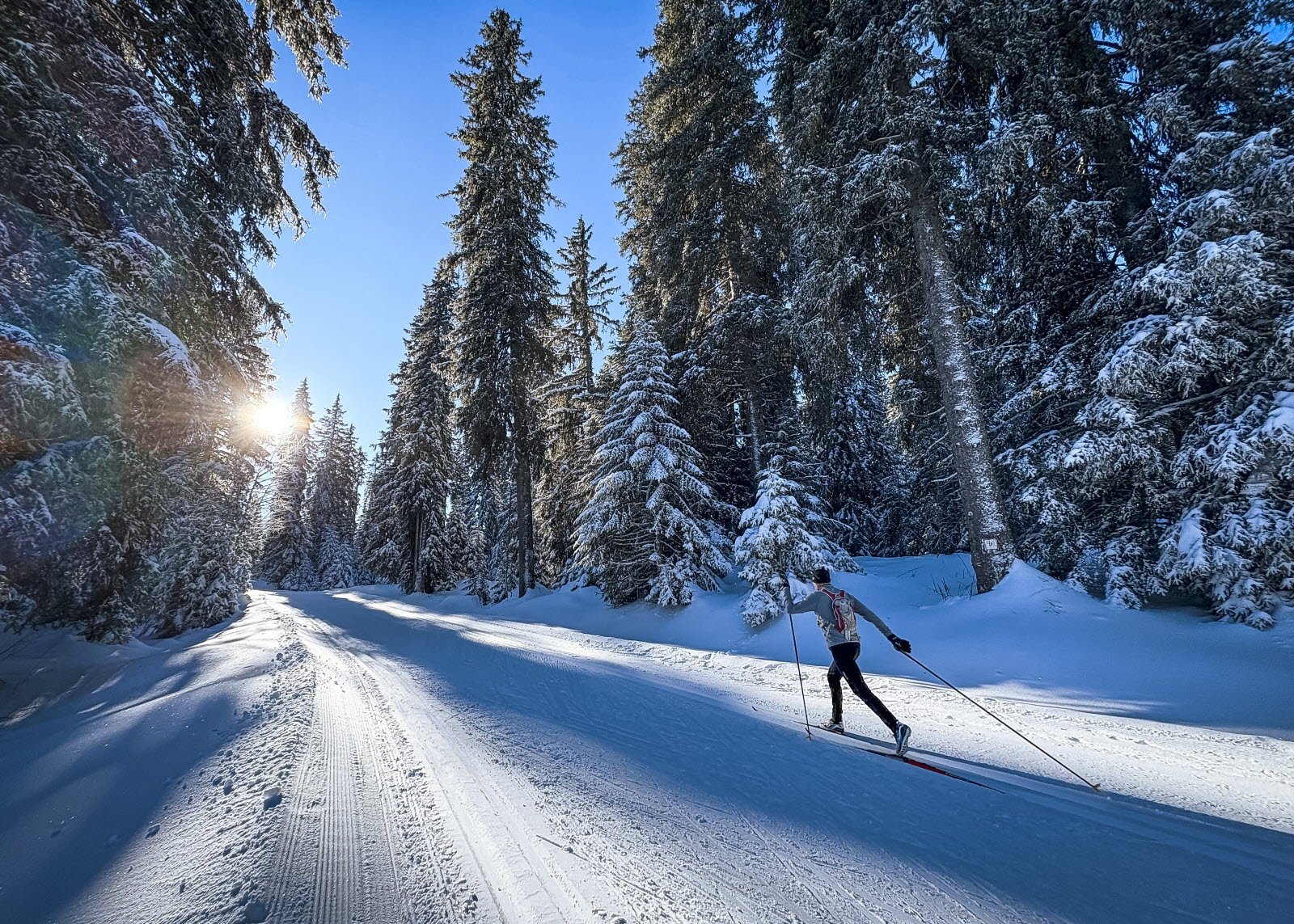 Fondeur glissant paisiblement sur des rails tracés au cœur d'une forêt enneigée, loin de l'agitation des stations.