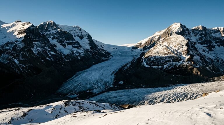 Columbia Icefields : Voyage au cœur du sanctuaire glacé de l&rsquo;Alberta