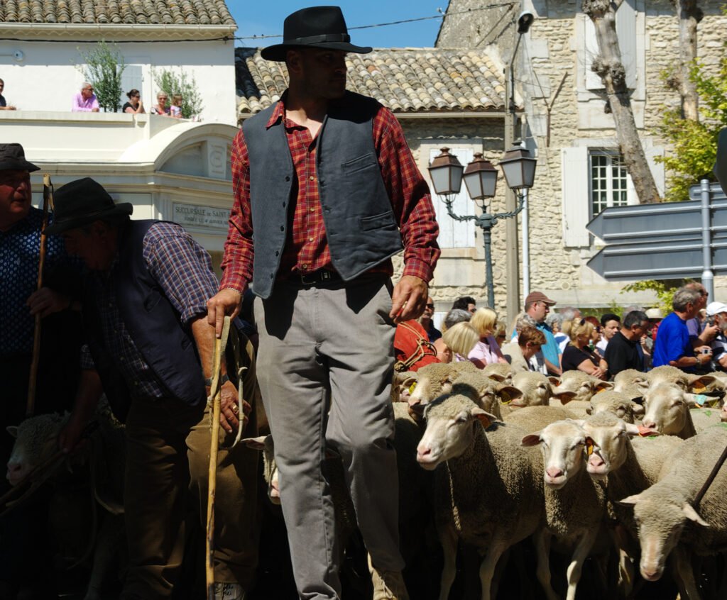 Un berger à la fête de la transhumance de Saint-Rémy-de-Provence