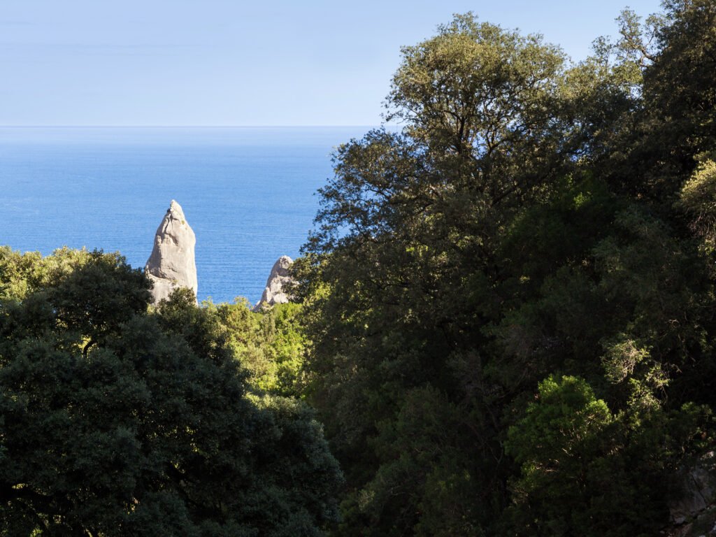 La Guglia di Goloritzé, flèche de calcaire dominant la crique de Cala Goloritzé, Sardaigne