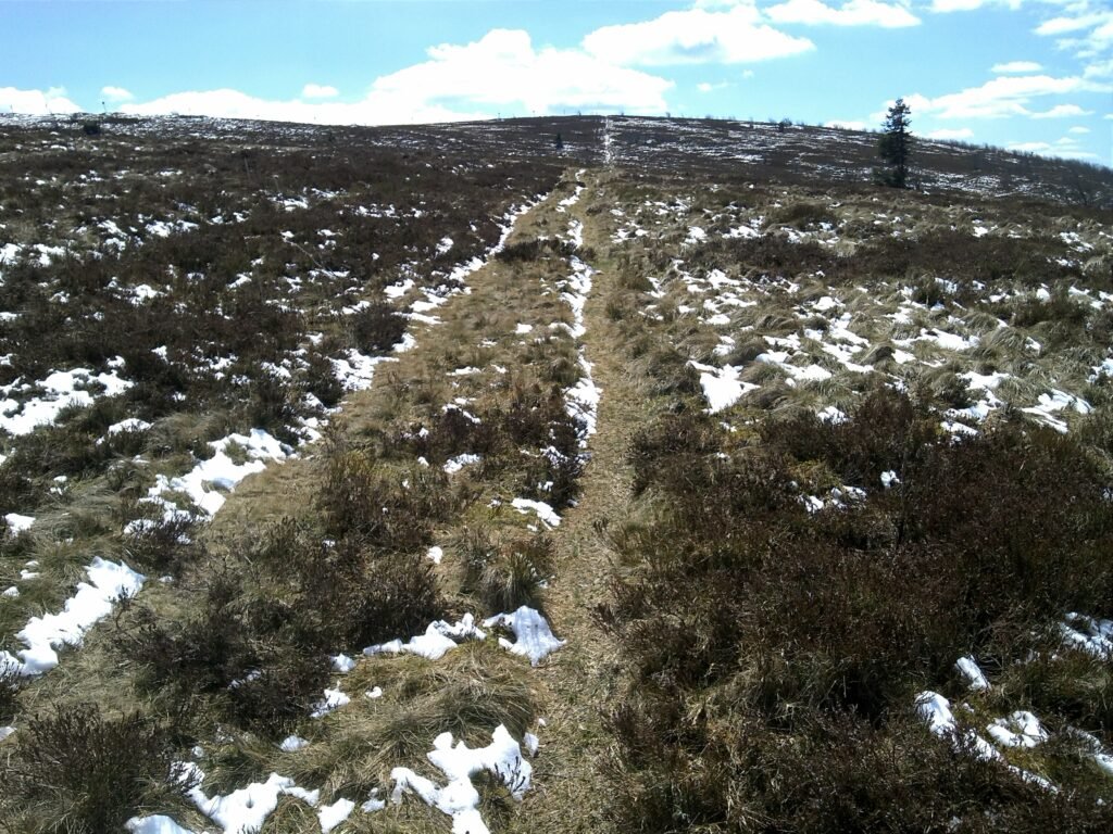 Les hautes chaumes du massif du Hohneck, Vosges