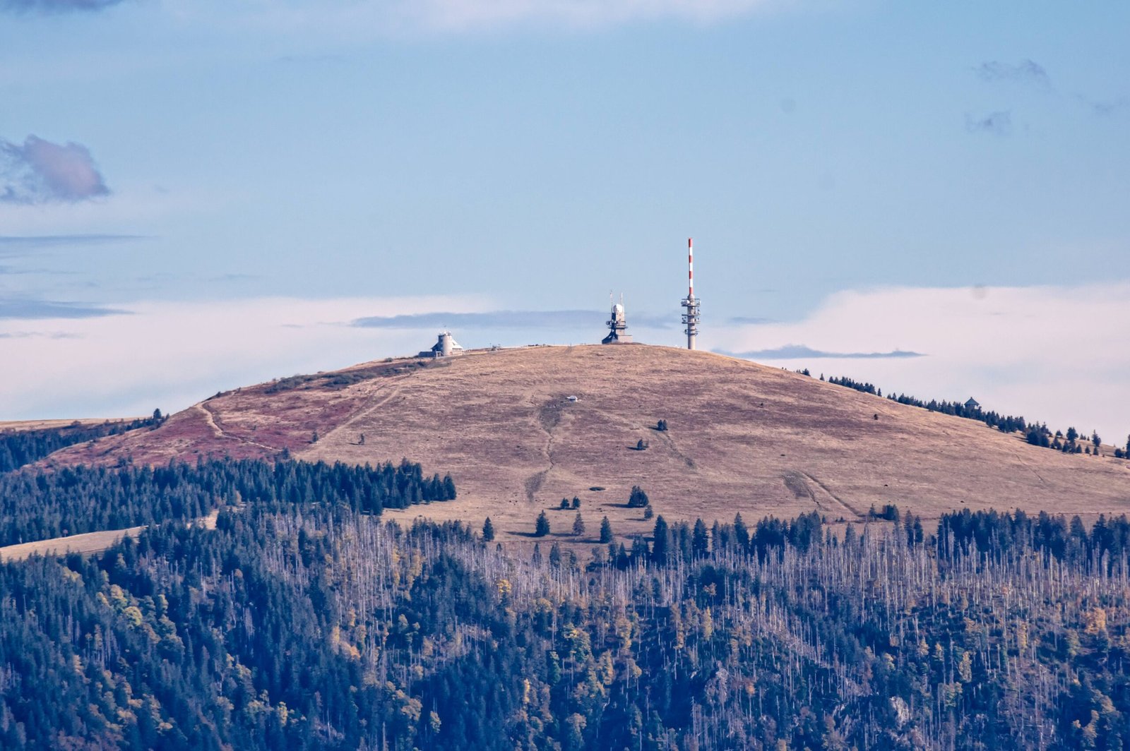 Le Feldberg, point culminant de la Forêt-Noire, sur le Westweg
