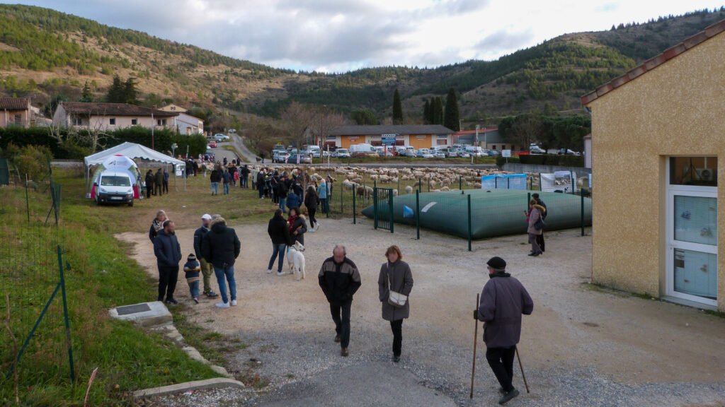 La fête de la transhumance de Vesseaux, en Ardèche, en 2024