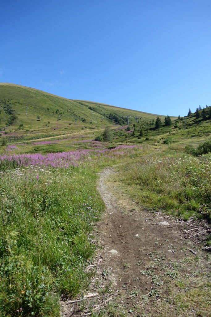 La Combe de Vernant à Flaine