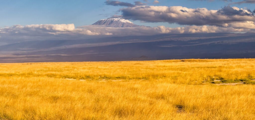 Le sommet du Kibo et les cônes volcaniques du Kilimandjaro, Tanzanie