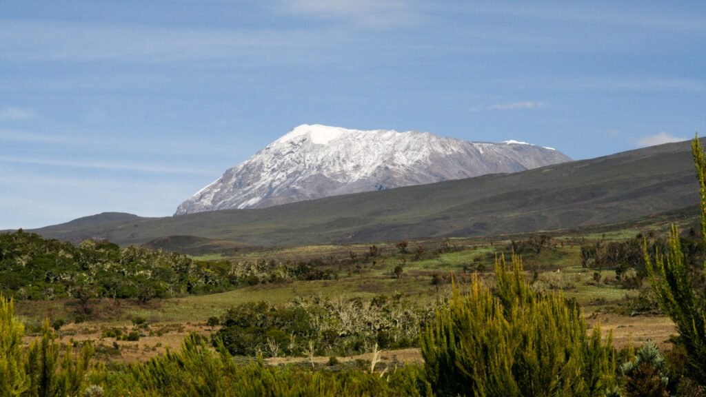 Le Kilimandjaro vu depuis la route de Marangu, à travers la ceinture forestière