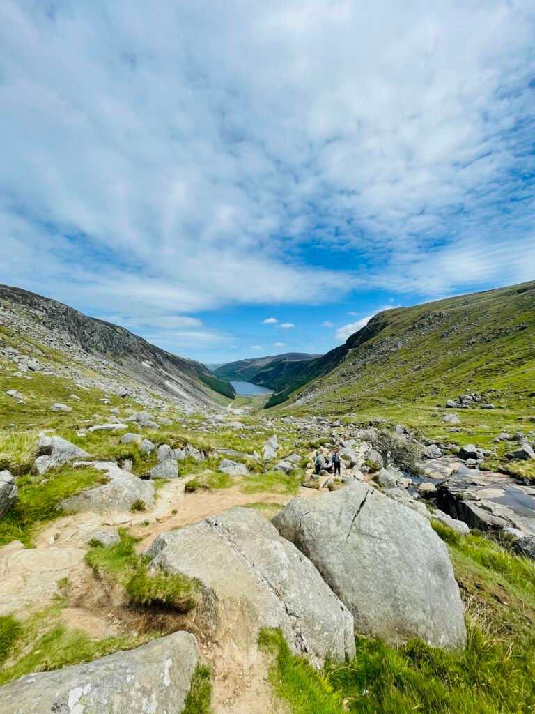 Paysage de landes et tourbières des Wicklow Mountains, Irlande