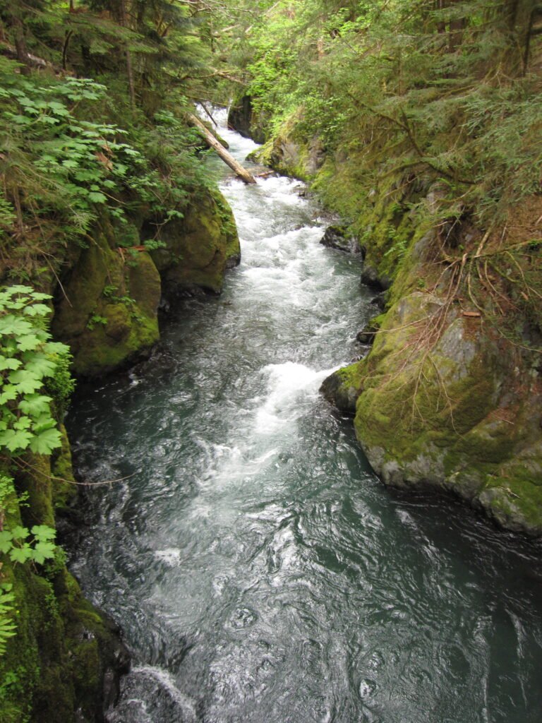 La rivière Skokomish dans la péninsule Olympique