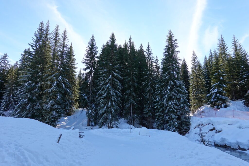 Le plateau des Glières en Haute-Savoie
