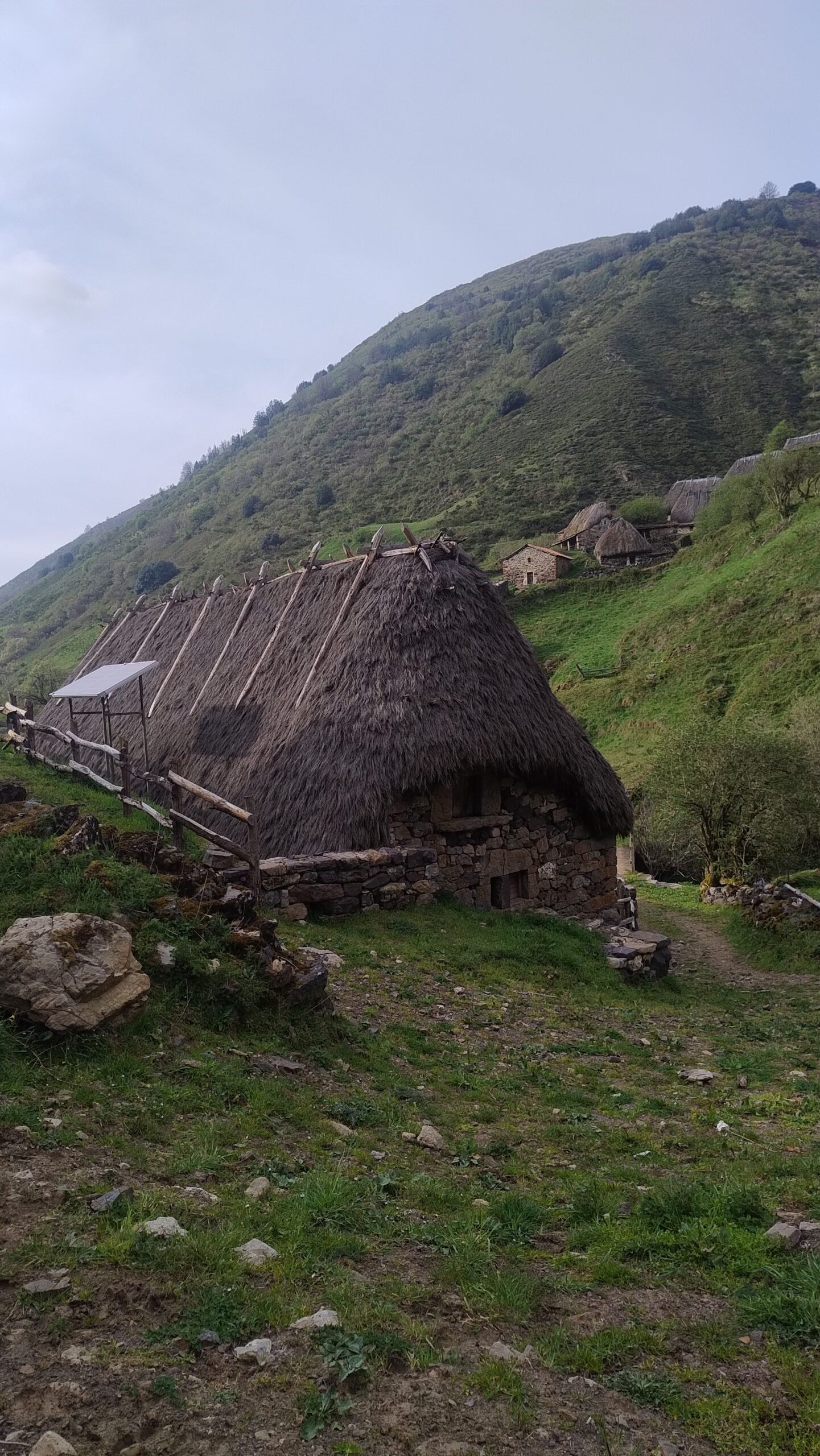 Teito, cabane traditionnelle à toit de chaume, braña de la Pornacal, Somiedo