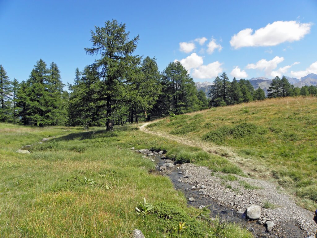 Piste de descente VTT le long d'un torrent de montagne, Vars